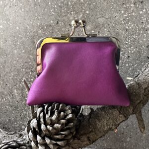 Sitting Pretty Itty Bitty Kisslock Coin Purse