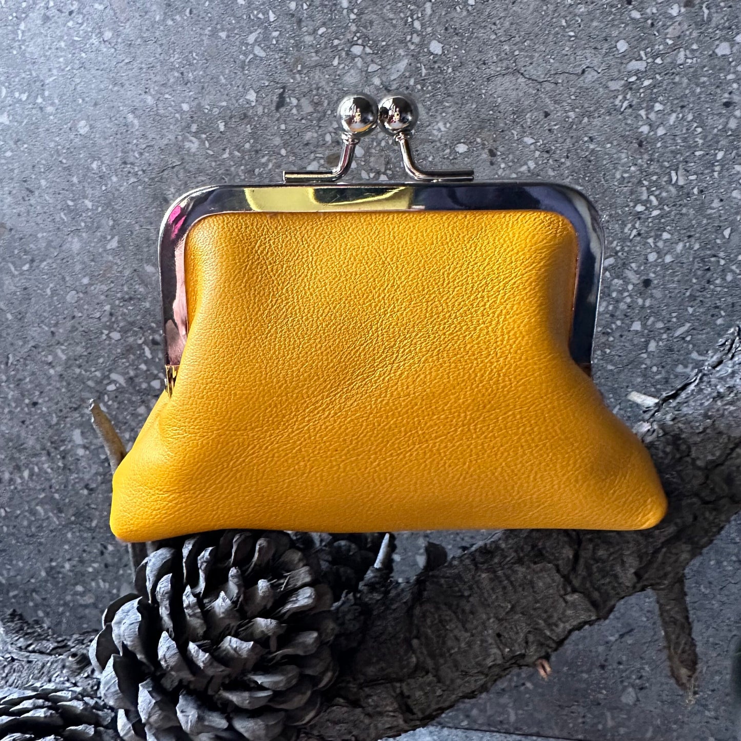 Sitting Pretty Itty Bitty Kisslock Coin Purse